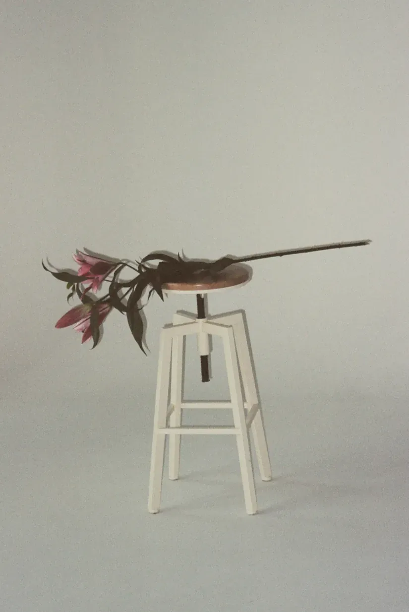 Unique stringed instrument with pink flowers rests on a white industrial stool.